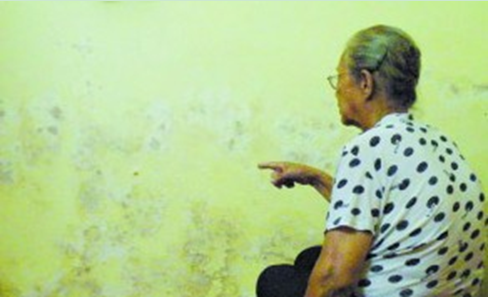 【新浪家居】正然除霉卫士：革命性的除霉新材，硅藻泥