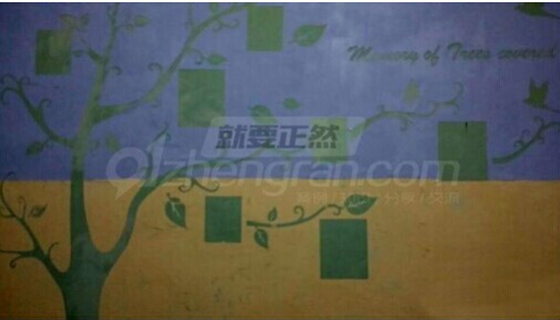 中国好墙面:为正然硅藻泥转身,硅藻泥 中国好墙面:为正然硅藻泥转身,硅藻泥