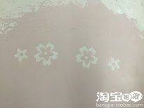 蛋白泥和硅藻泥的比较实验