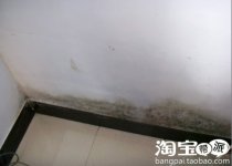霉菌的致命伤——“灭绝师太”