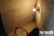 踏破铁鞋无觅处——试用除霉卫士