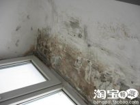 名副其实的五一劳动节 –硅藻泥试用报告