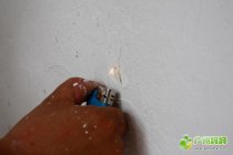 硅藻泥的试用报告2